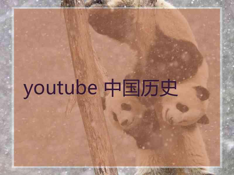 youtube 中国历史