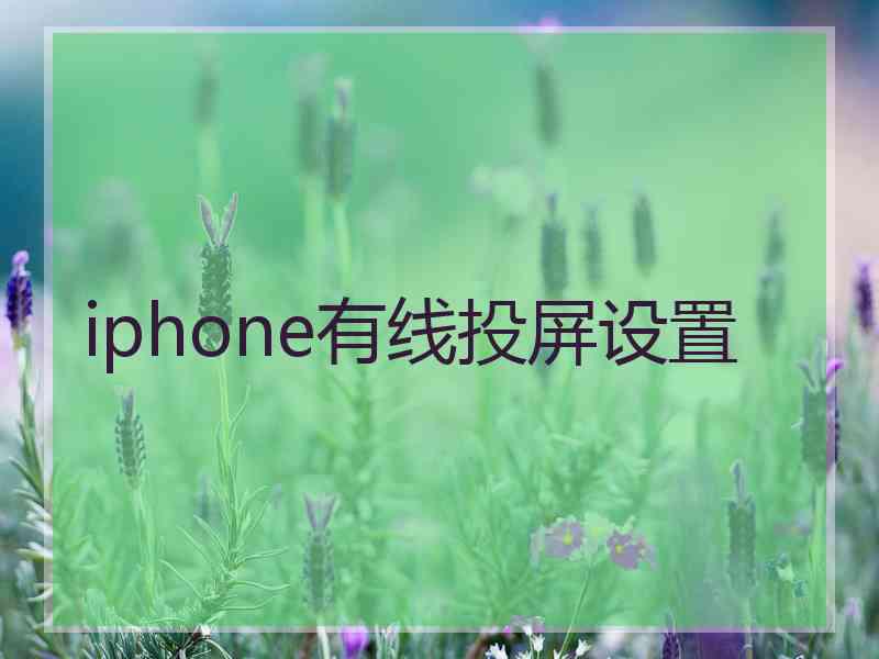 iphone有线投屏设置