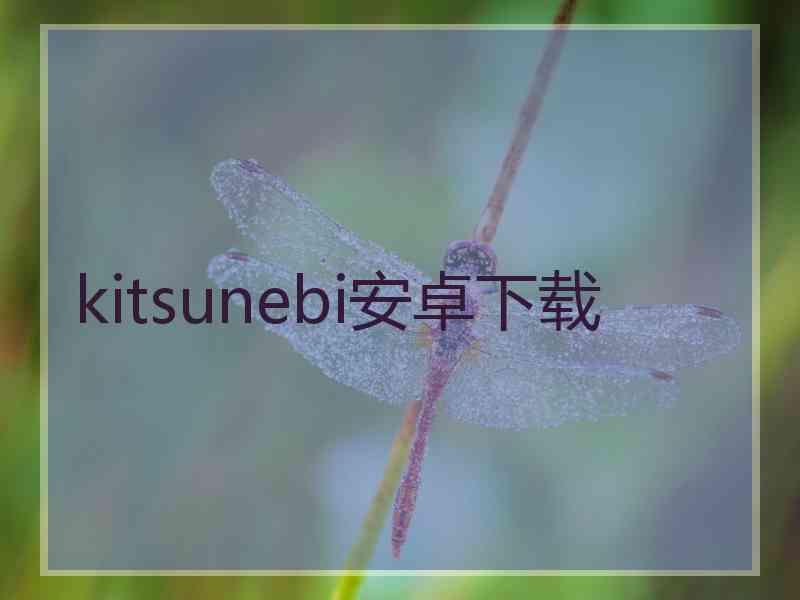 kitsunebi安卓下载