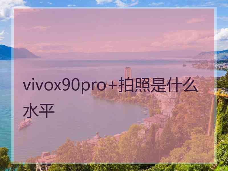 vivox90pro+拍照是什么水平