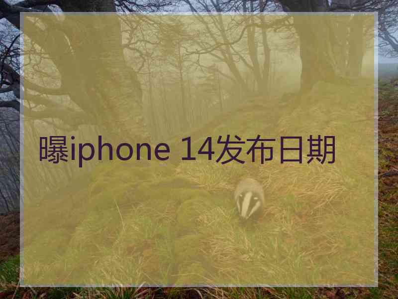 曝iphone 14发布日期