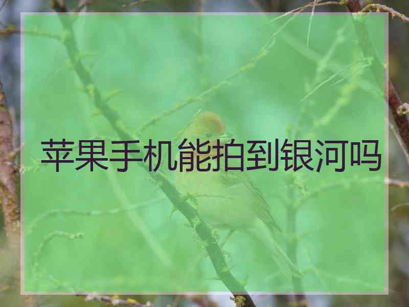 苹果手机能拍到银河吗