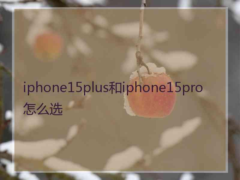 iphone15plus和iphone15pro怎么选