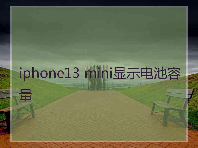 iphone13 mini显示电池容量