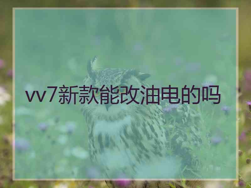 vv7新款能改油电的吗