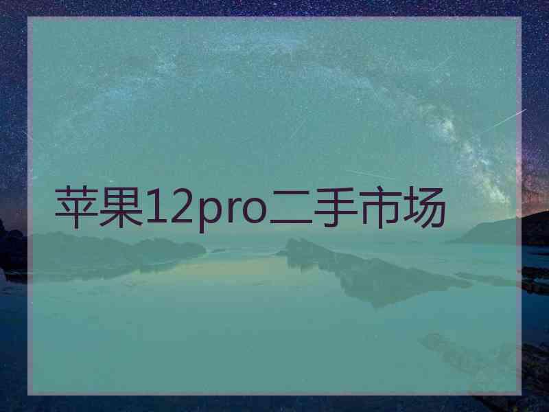 苹果12pro二手市场