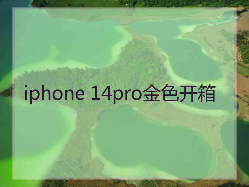 iphone 14pro金色开箱