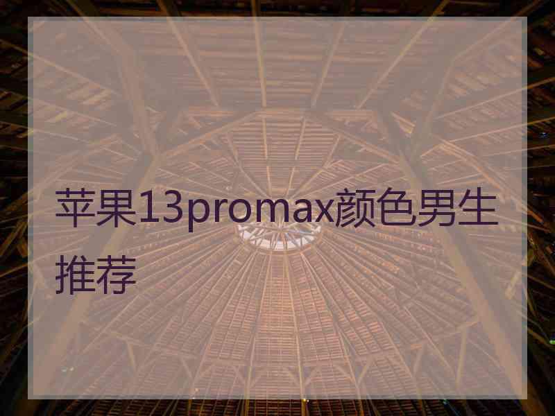 苹果13promax颜色男生推荐