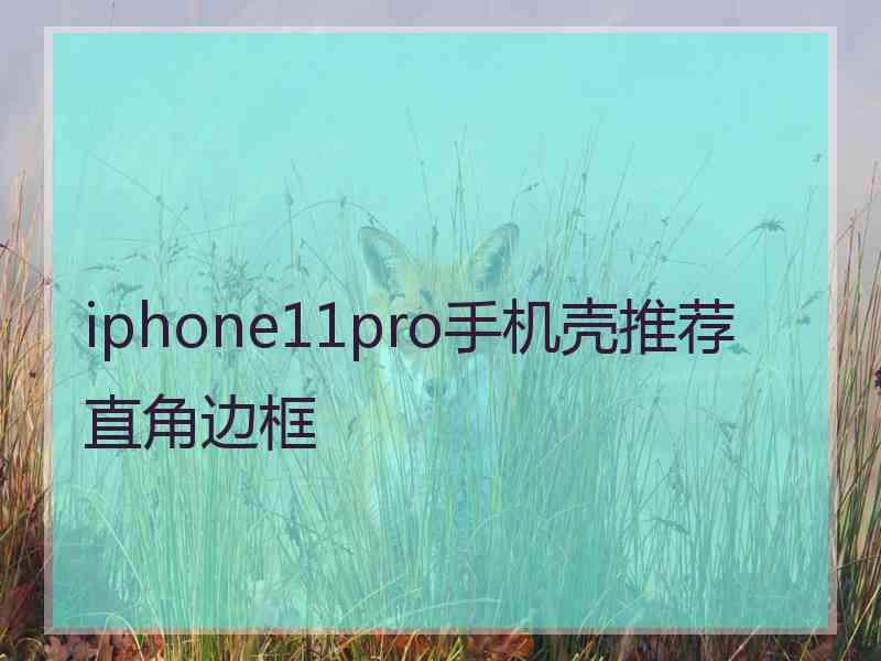 iphone11pro手机壳推荐直角边框