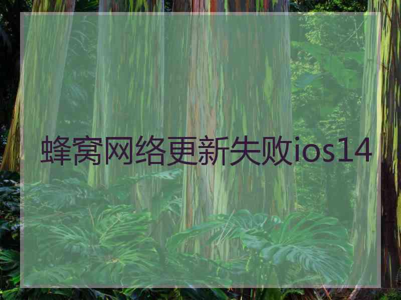 蜂窝网络更新失败ios14