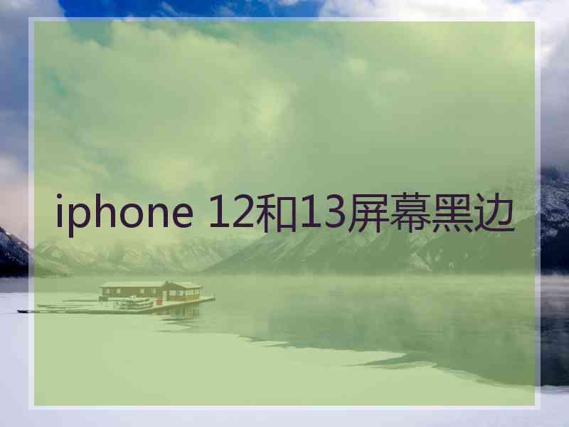 iphone 12和13屏幕黑边