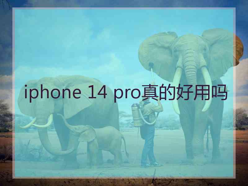 iphone 14 pro真的好用吗