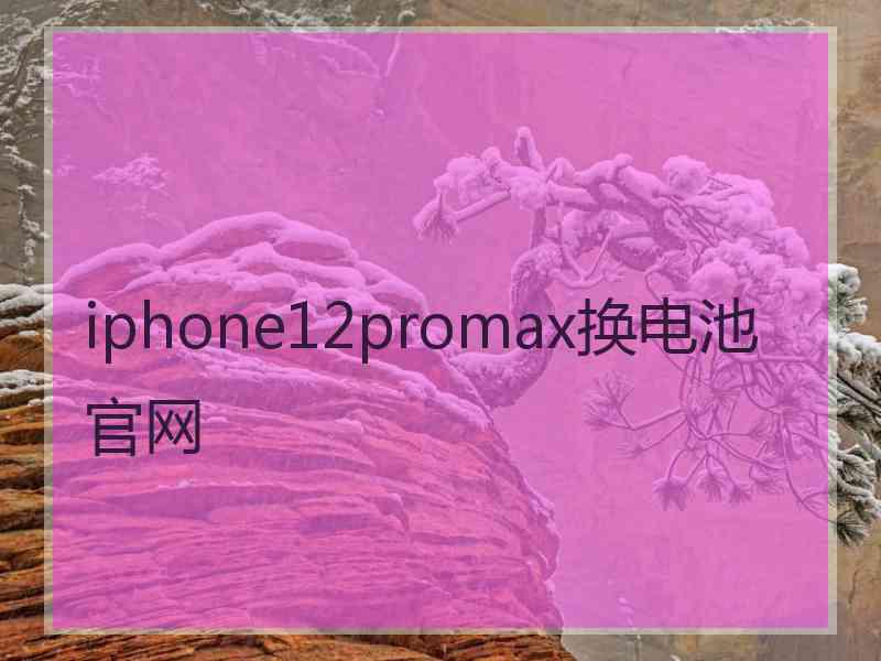 iphone12promax换电池官网