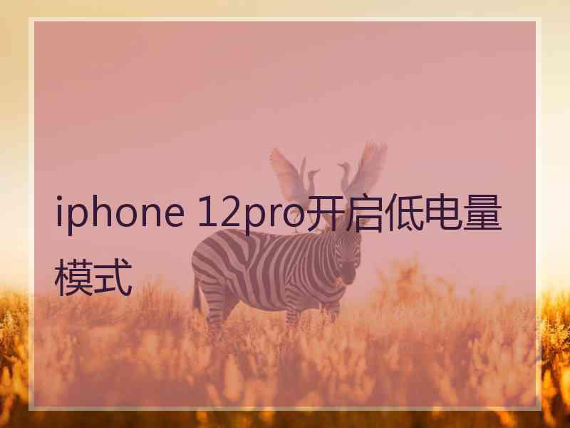 iphone 12pro开启低电量模式