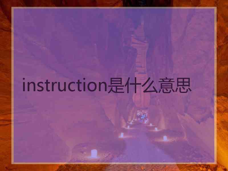 instruction是什么意思