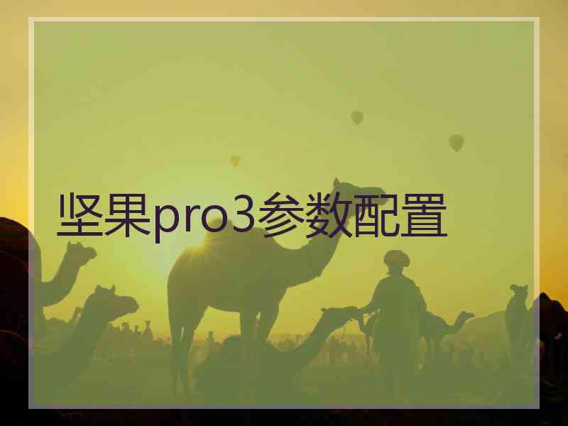 坚果pro3参数配置