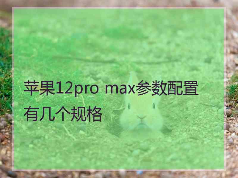 苹果12pro max参数配置有几个规格