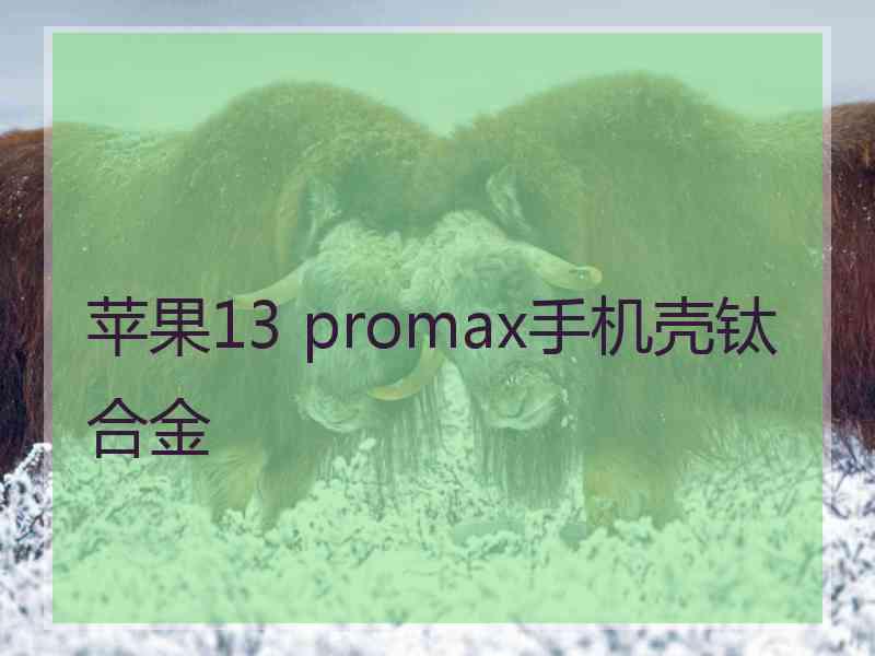 苹果13 promax手机壳钛合金