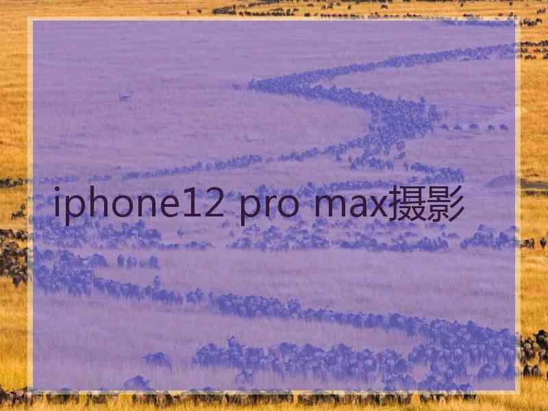 iphone12 pro max摄影