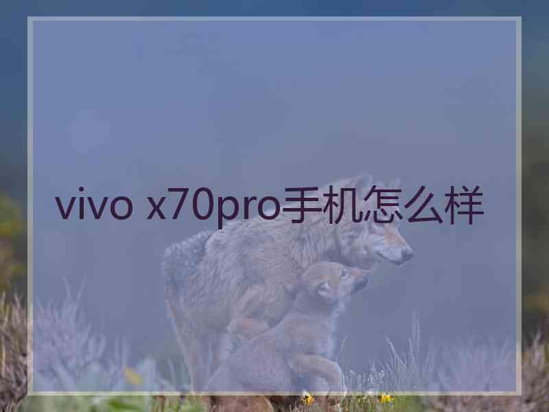 vivo x70pro手机怎么样