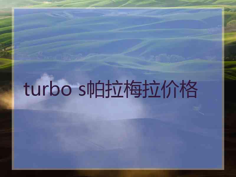 turbo s帕拉梅拉价格