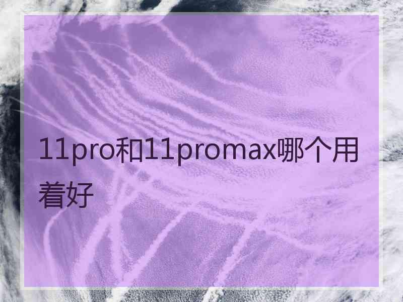 11pro和11promax哪个用着好