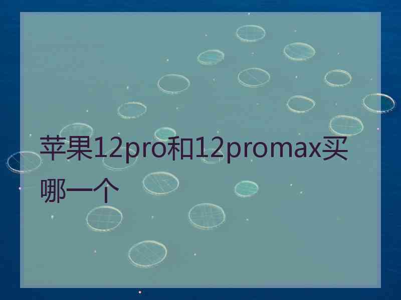 苹果12pro和12promax买哪一个