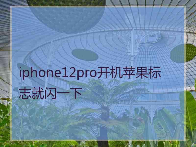 iphone12pro开机苹果标志就闪一下