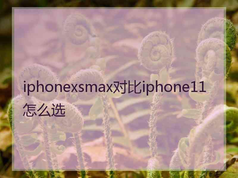 iphonexsmax对比iphone11怎么选