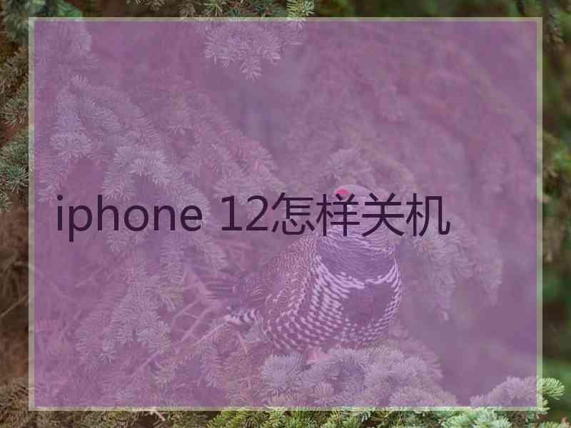 iphone 12怎样关机