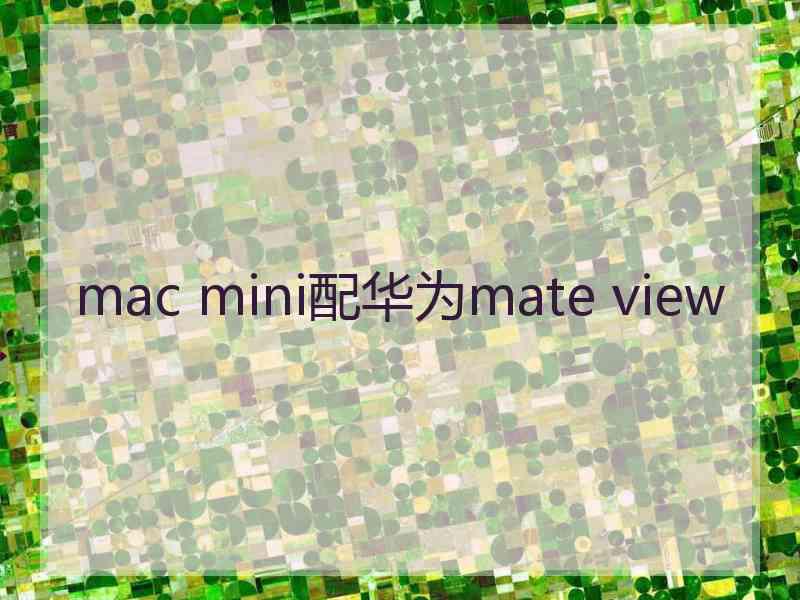 mac mini配华为mate view