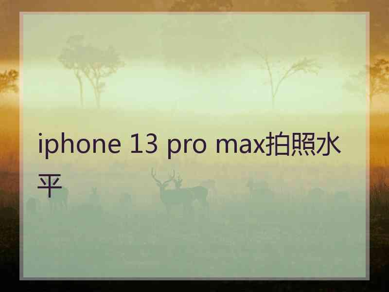 iphone 13 pro max拍照水平