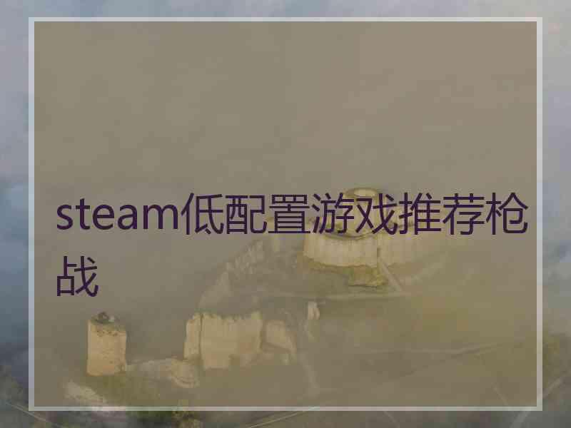 steam低配置游戏推荐枪战