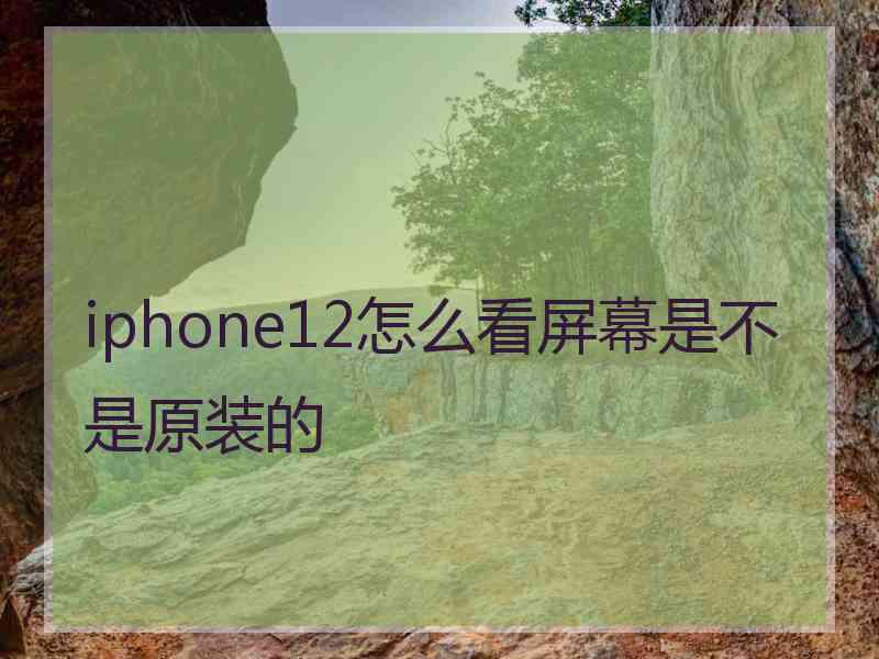 iphone12怎么看屏幕是不是原装的