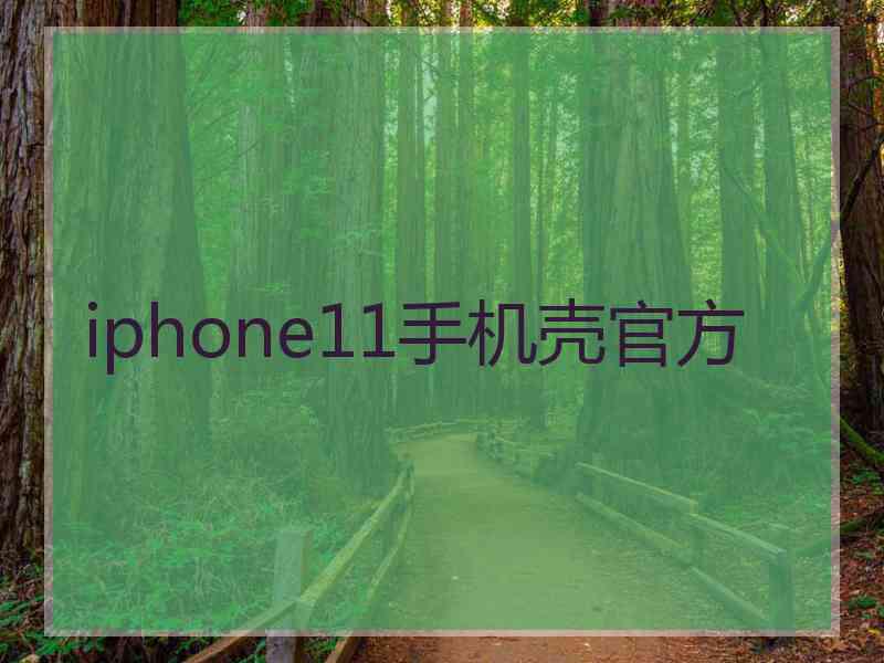 iphone11手机壳官方