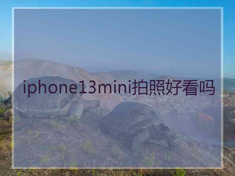 iphone13mini拍照好看吗