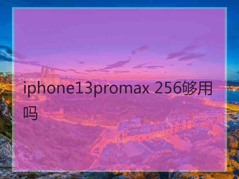 iphone13promax 256够用吗