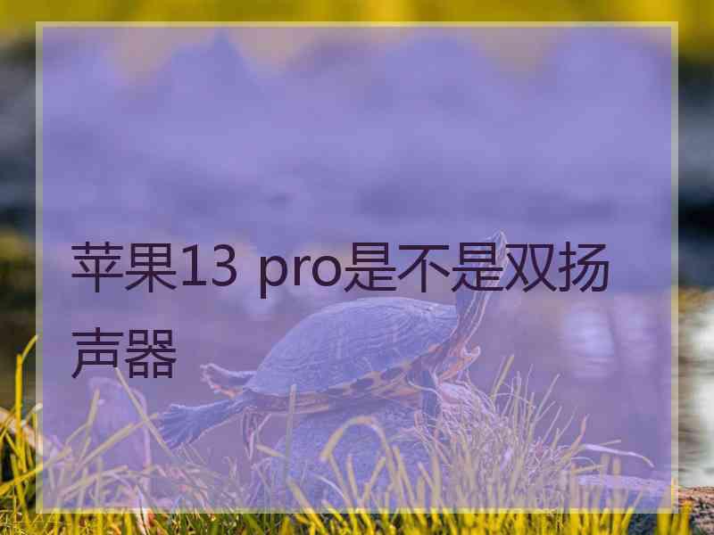 苹果13 pro是不是双扬声器