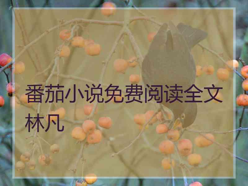 番茄小说免费阅读全文林凡