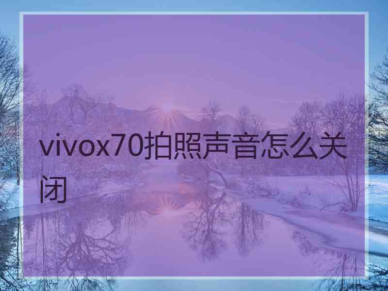 vivox70拍照声音怎么关闭