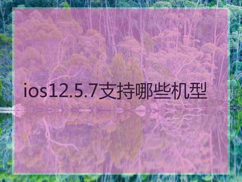 ios12.5.7支持哪些机型