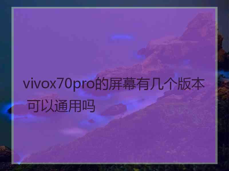 vivox70pro的屏幕有几个版本 可以通用吗