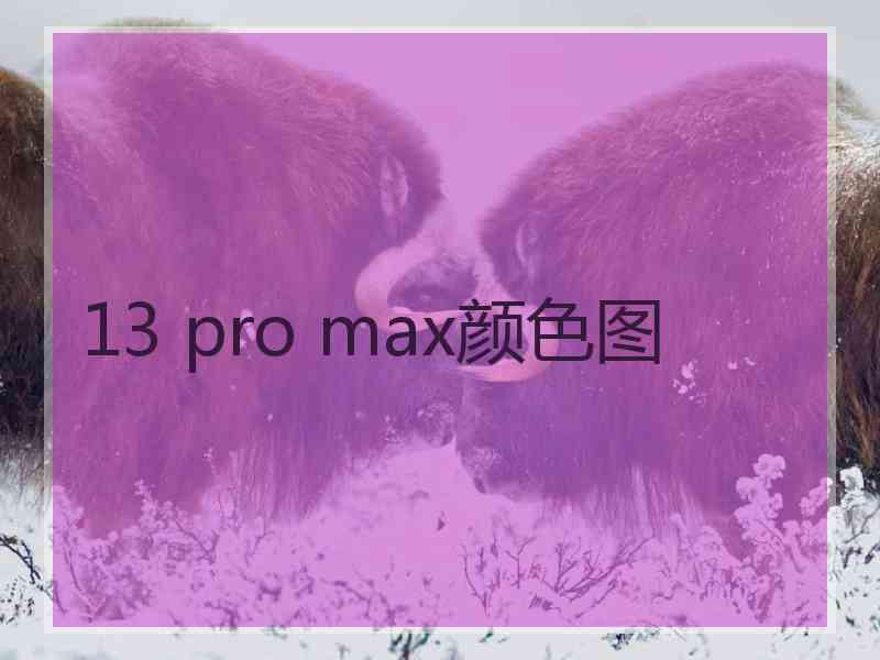 13 pro max颜色图