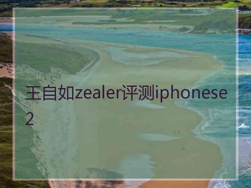 王自如zealer评测iphonese2