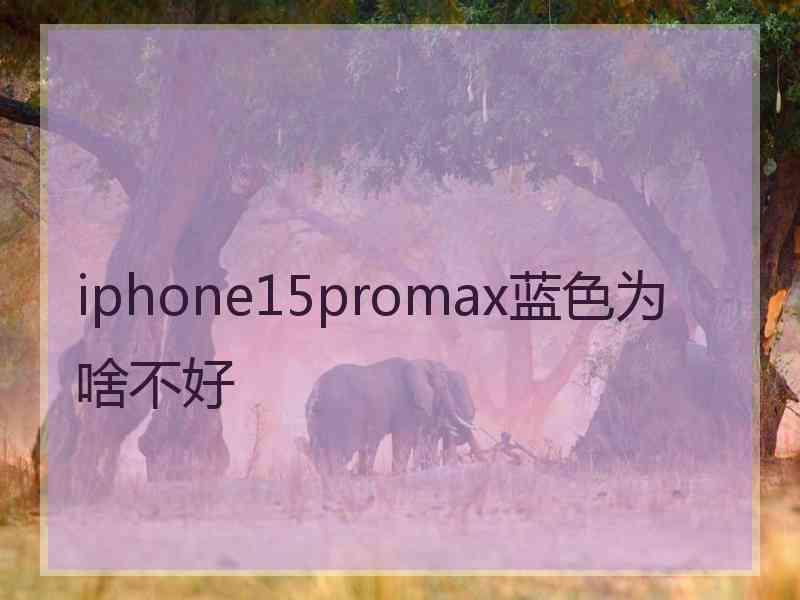 iphone15promax蓝色为啥不好