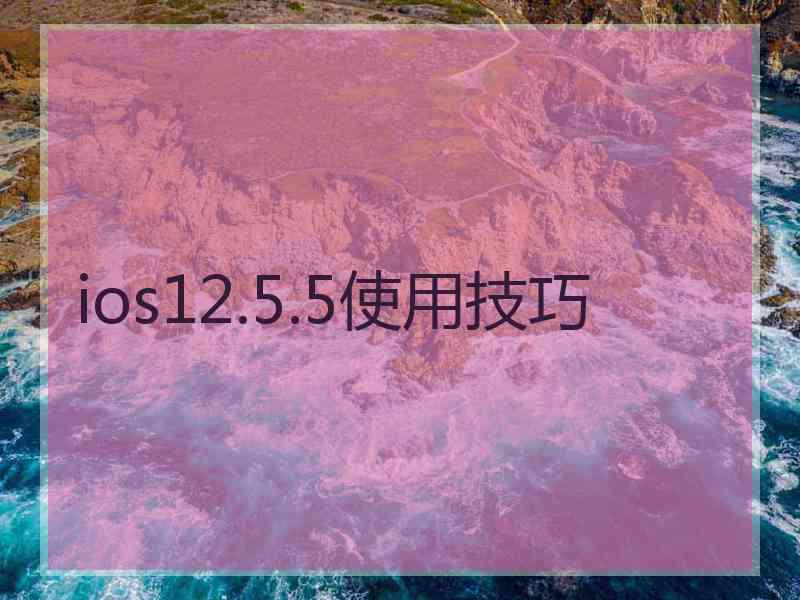 ios12.5.5使用技巧