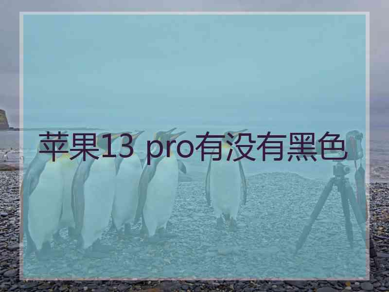 苹果13 pro有没有黑色