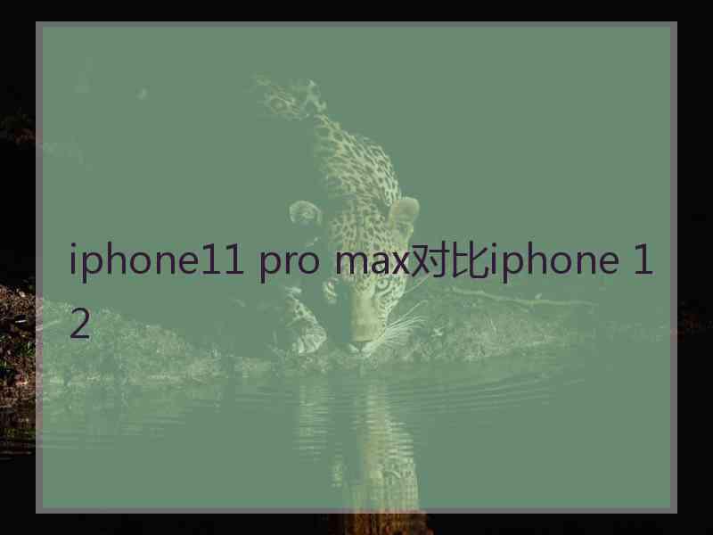 iphone11 pro max对比iphone 12