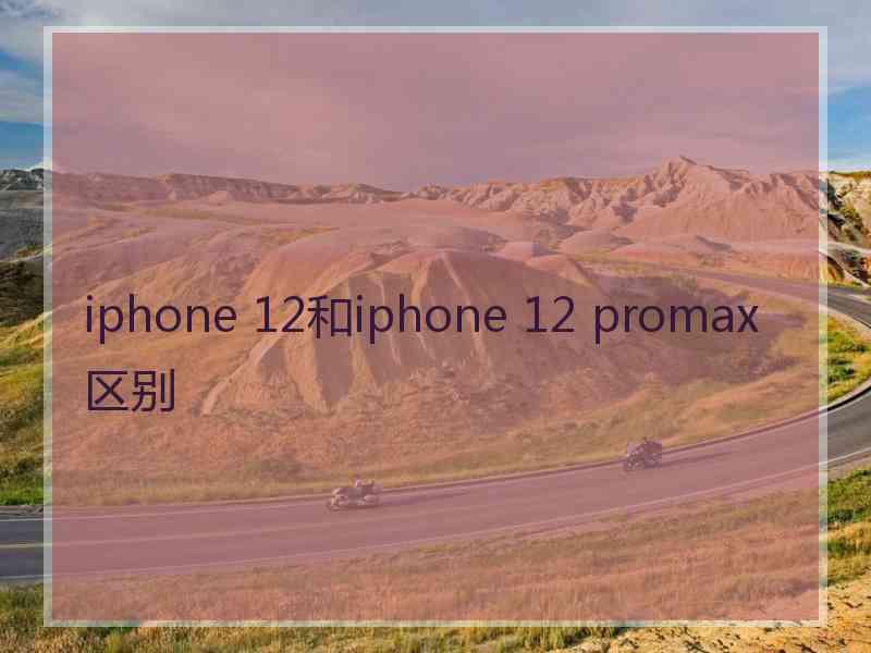 iphone 12和iphone 12 promax区别