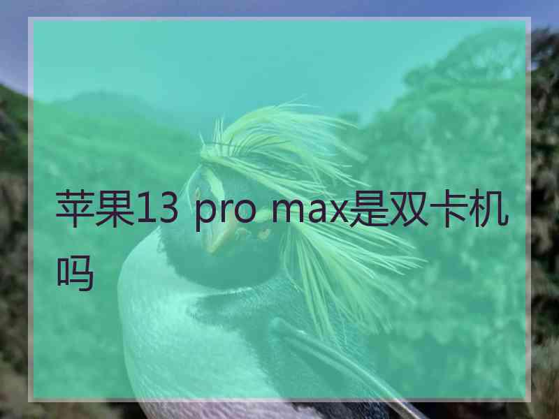 苹果13 pro max是双卡机吗